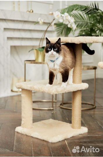 Когтеточка домик для кошки новый