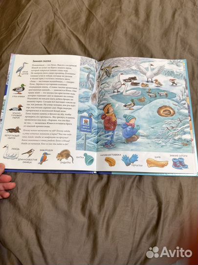 Зима Находилки Развивалки Бьянка