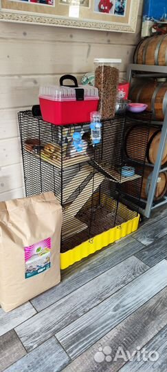 Крыски Дамбо с оборудованной клеткой и кормом