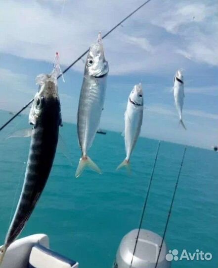 Морская рыбалка, прогулка, отдых, аренда катера