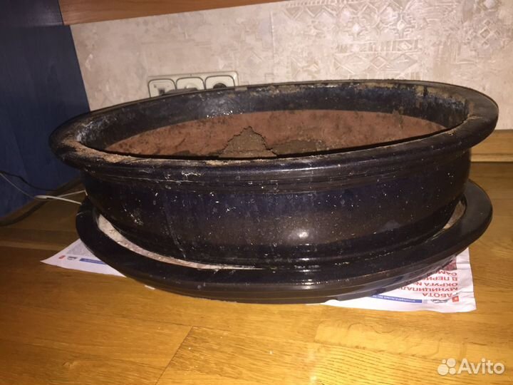 Керамический горшок для цветов(дерева) 60/45,цена