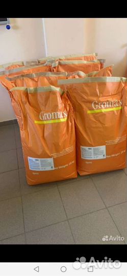 Громакс препарат для кур и цыплят