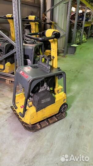 Виброплиты и вибротрамбовки в аренду