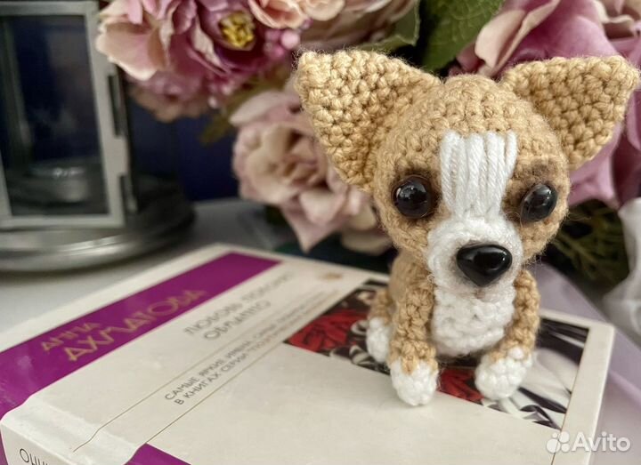 Питбультерьер, чихуахуа, французский бульдог