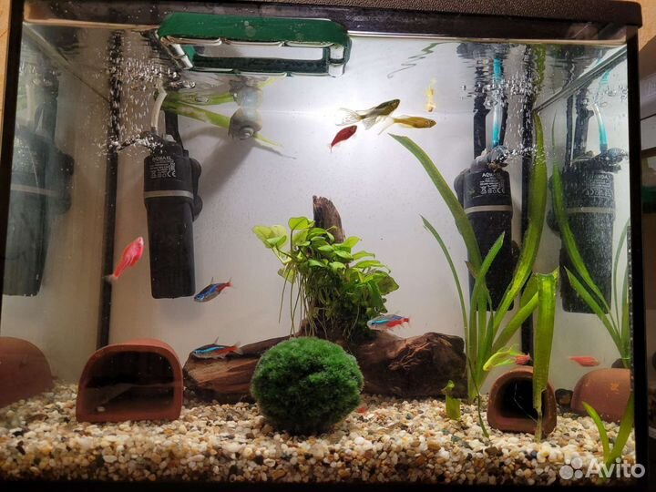 Аквариум с крышкой 40 л