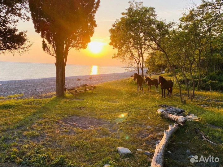 Экскурсии, трансфер, жильё в Абхазии