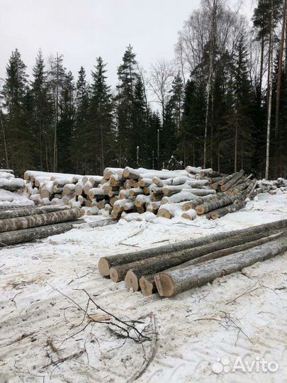 Дрова берёзовые 6 метровые