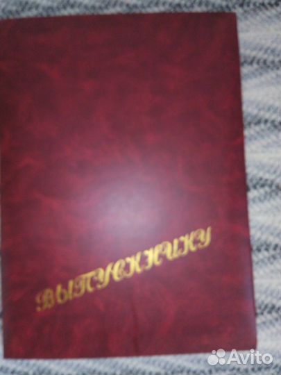 Папка Выпускнику