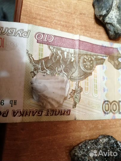 Окаменелости, красивые камни, кварц