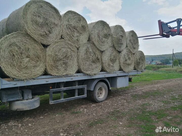 Сено в рулонах