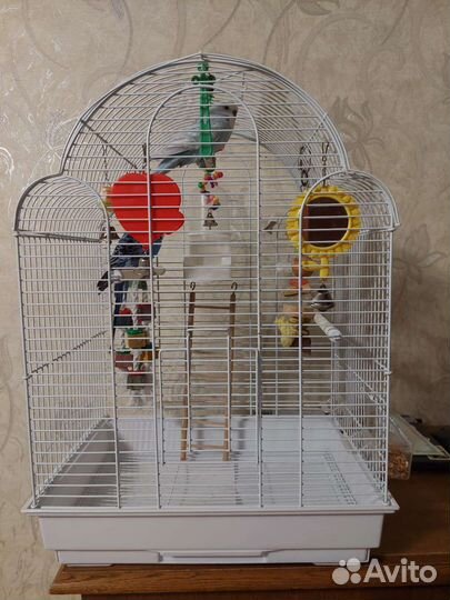 Клетка для попугая