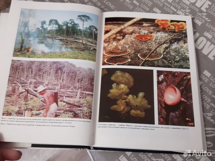 Книга про тропики зеленый ад- исчезающий рай