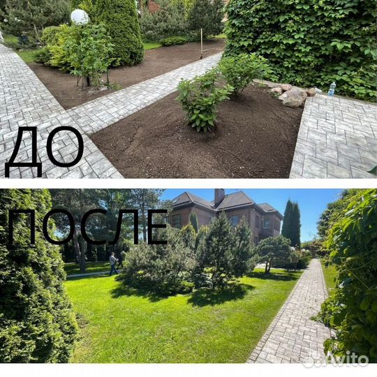 Лучший рулонный газон в Балашиху