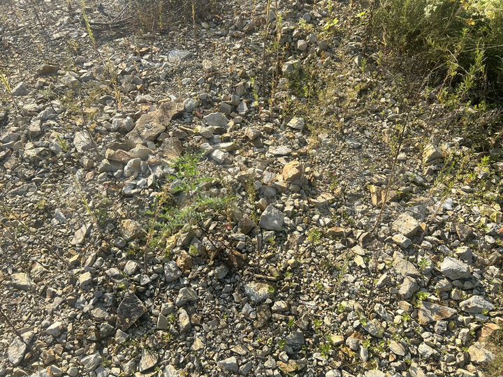 Участок 5,8 сот. (ИЖС)