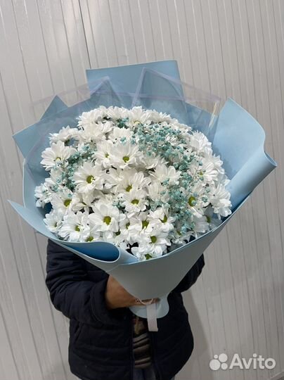 Букет цветов из хризантем и гипсофил, букет гигант