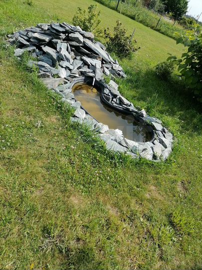 Дача 50 м² на участке 10 сот.