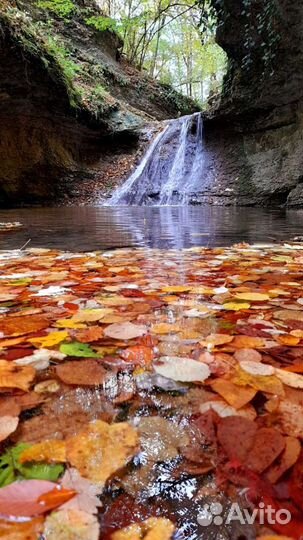 Индивидуальные и групповые экскурсии