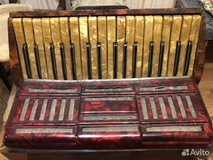 Аккордеоны на