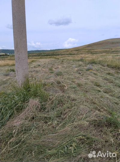 Сено в мешках