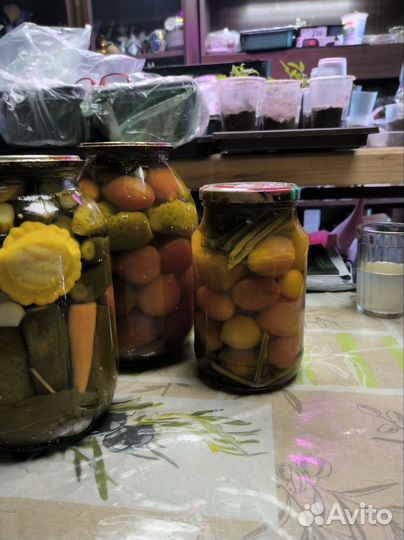 Соленья домашние