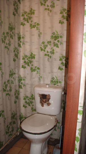 Дом 52 м² на участке 3 сот.