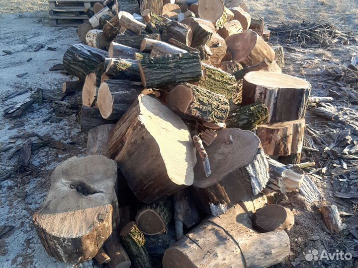 Сухие дрова спилы карагач мелко напилены