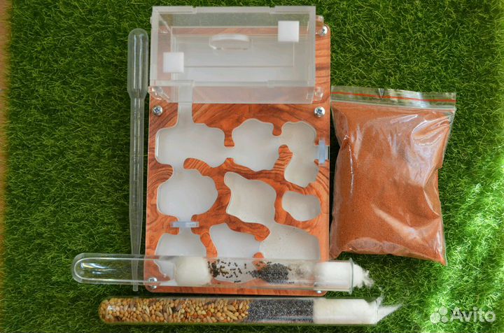 Муравьиная ферма с муравьями. Формикарий Старт+