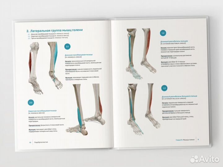 Книга по подоортопластии