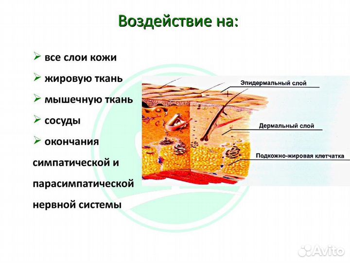Массажистка, только женский пол. Мужской пол мимо