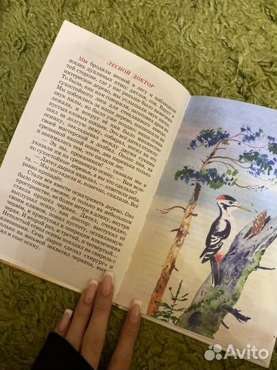 Лисичкин хлеб