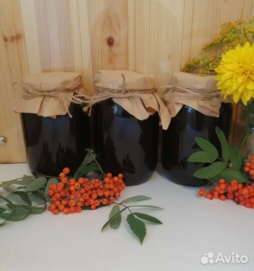 Мед гречишный Алтайский 2023 Предзаказ