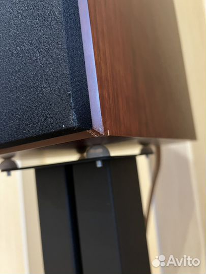 Акустика Dynaudio special twenty five