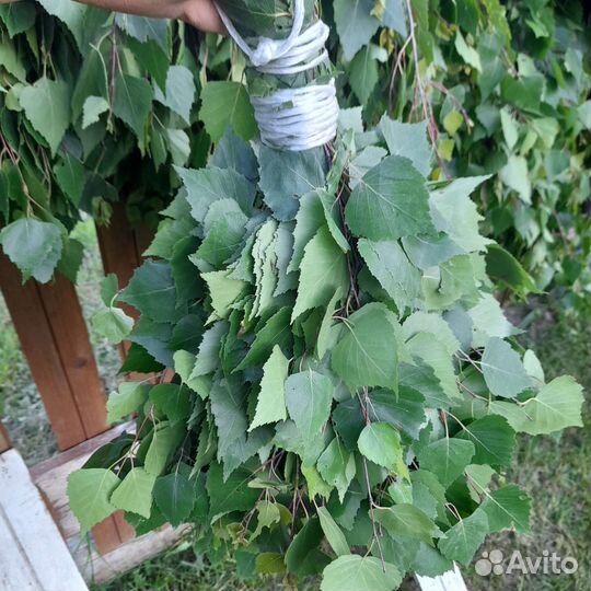 Веники для бани