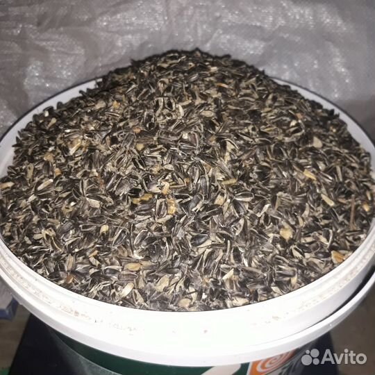 Семечка плющенная