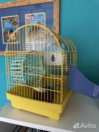 Клетка для хомяка