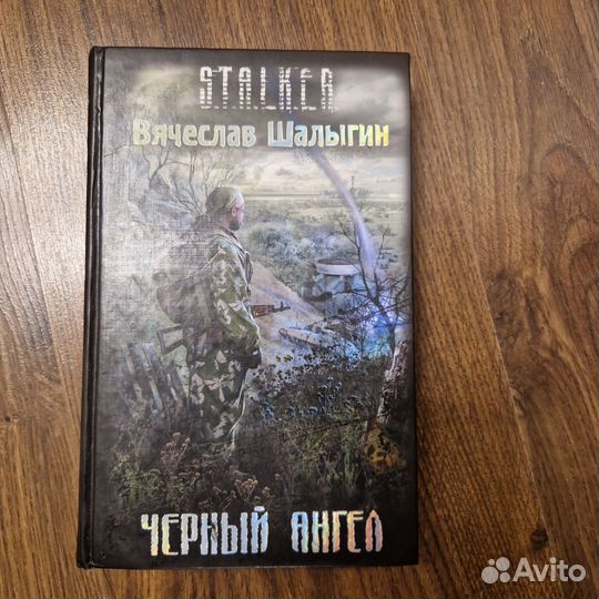 Шалыгин, черный ангел, серия stalker