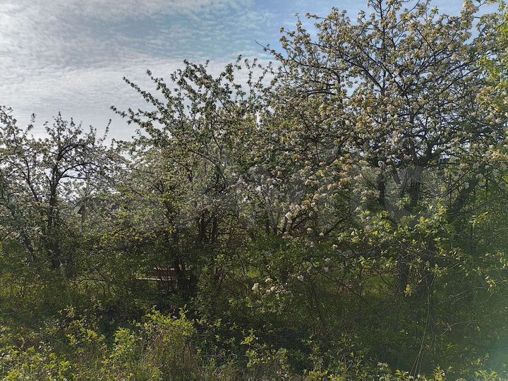 Участок 6 сот. (СНТ, ДНП)