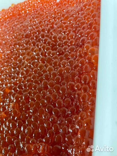 Красная и чёрная икра