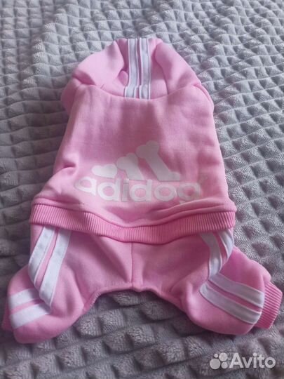 Комбинезон толстовка для маленькой собачки