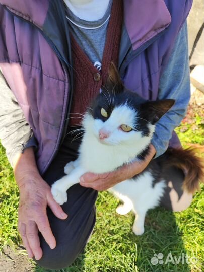 Европейская