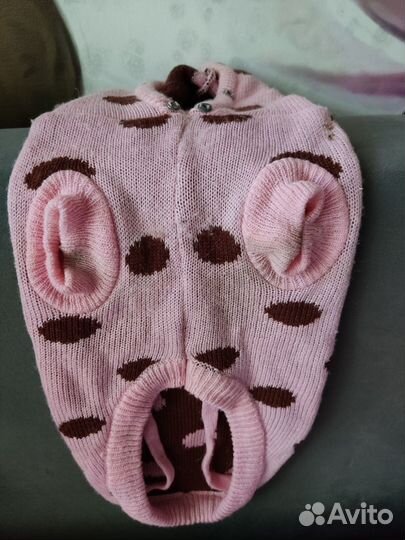 Одежда для маленьких собак