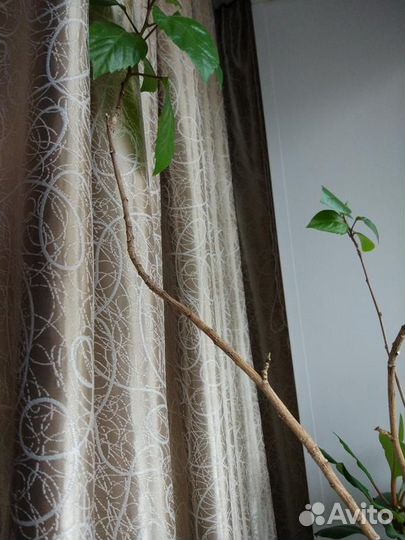 Шторы готовые, блэк-аут паутинка