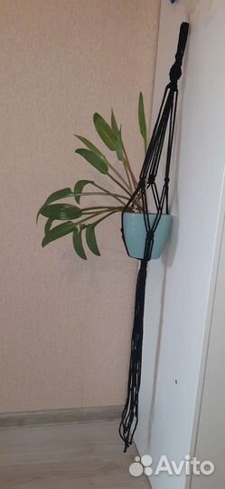 Подвес для кашпо.В технике макраме