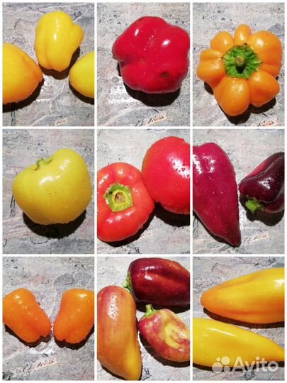 Семена сладких перцев (коллекция 70 сортов)