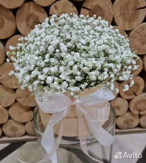 Гипсофилы с доставкой. Свежие букеты цветов