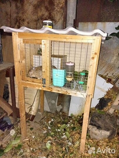 Кролик декоративный с клеткой стационарной