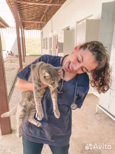 Ветеринар на дом 24/7