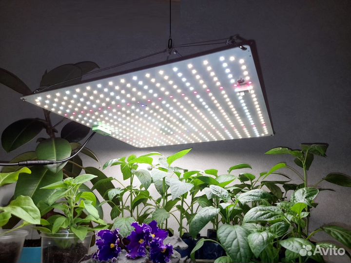 Профессиональная лампа для растений Quantum board