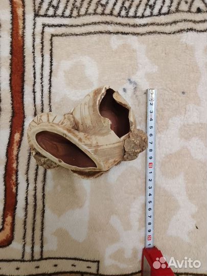 Домик, грот, растения для рыб