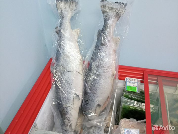 Семга свежемороженая